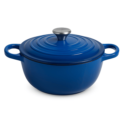 Enamel - Coated Cast Iron Casserole Pot with Lid – 26cm – Black or Blue – Casserole Pots in South Africa from Aegis Homewares
